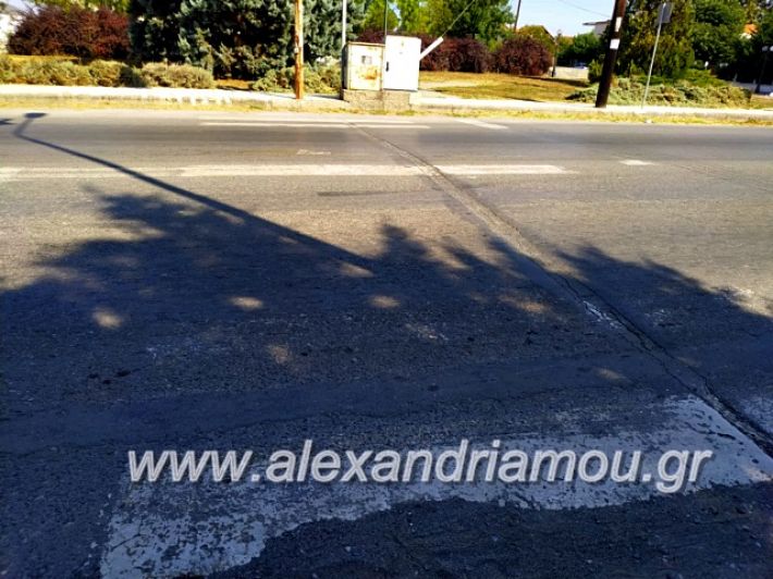 alexandriamou.gr_diavaseis201969701829_719917695124297_4951336486076153856_n (1)